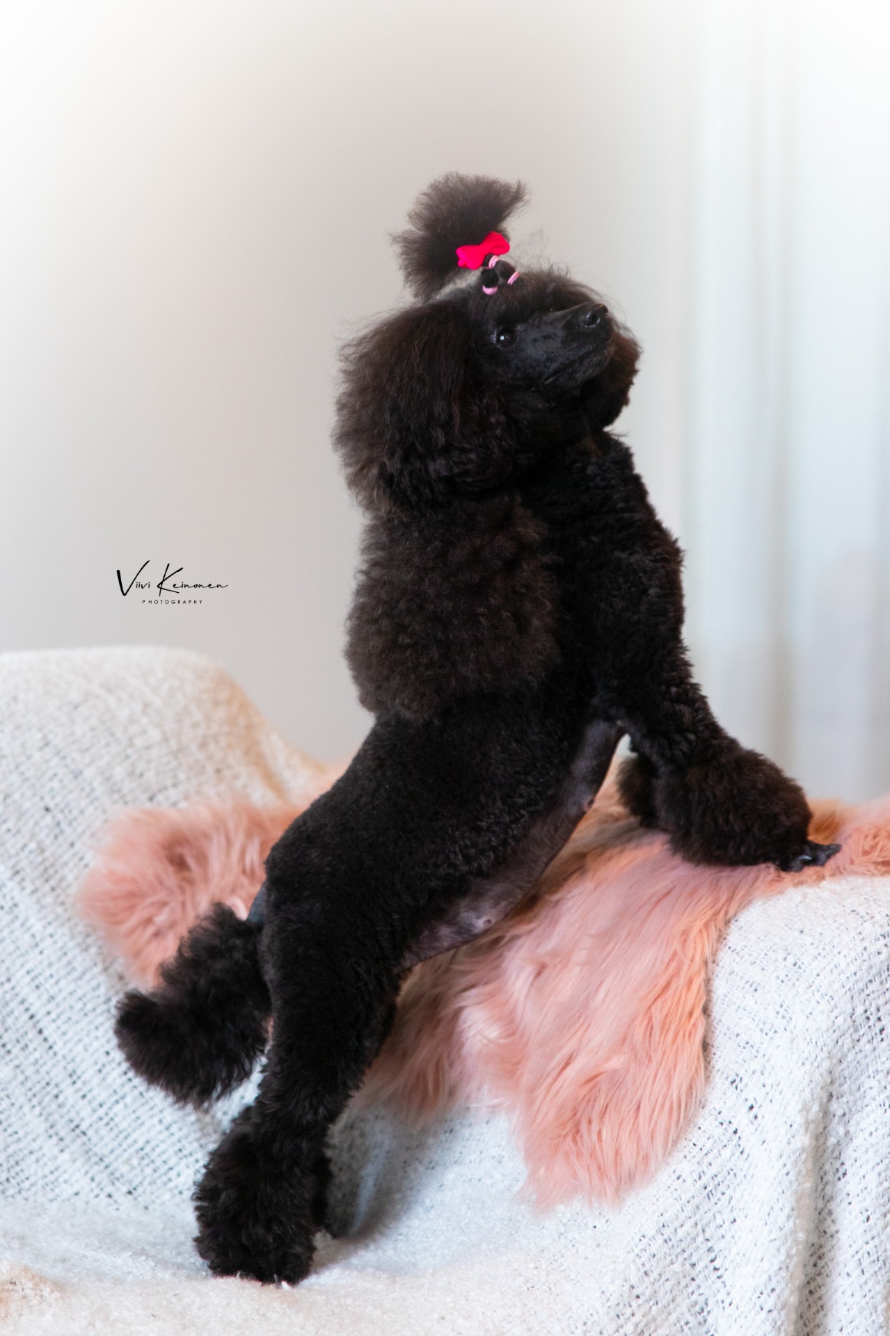 Viivi Keinonen Photography